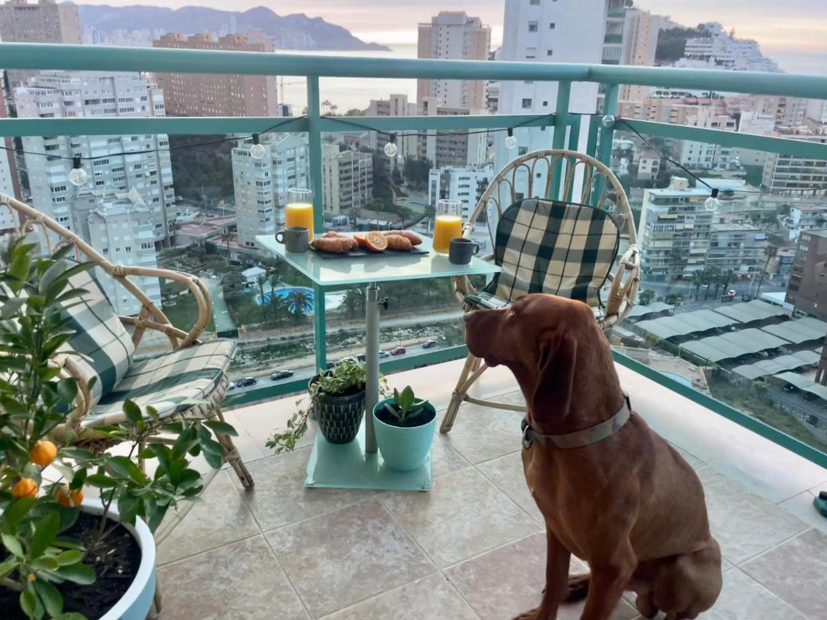 Traveler'S Beach Apartment With Sea View, Free Coffee & Parking Benidorm Kültér fotó